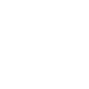 Federal Communications Commission